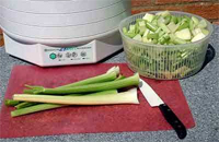 Сушилка для овощей перед приготовлением блюда