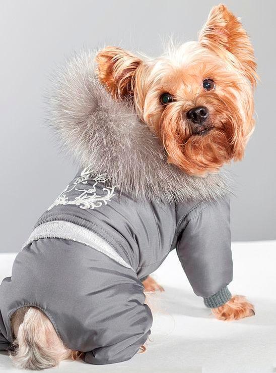 Одежда для собак интернет магазин для йорков мальчиков