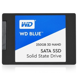 Western Digital WDS250G2B0A
