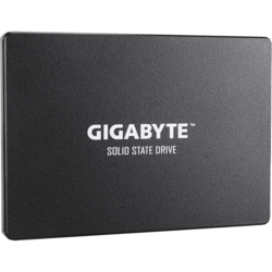 Gigabyte GP-GSTFS31480GNTD