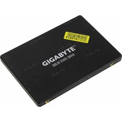 Gigabyte GP-GSTFS31256GNTD