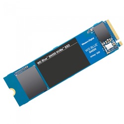 Western Digital WD Blue SN550 500 GB (WDS500G2B0C)