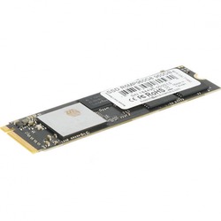 AMD 120 GB (R5MP120G8)
