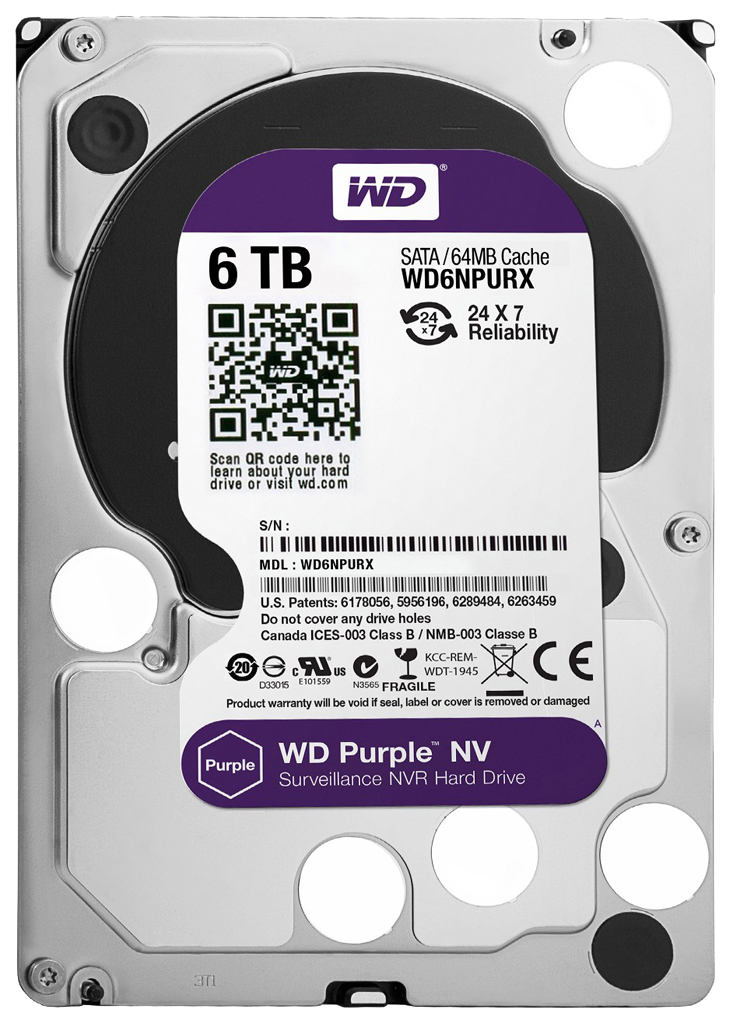 Wd10purz purple