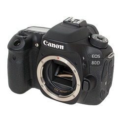 купить Canon EOS 80D Body