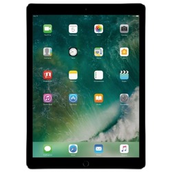 Apple iPad Pro 512Gb (Wi-Fi,4G)